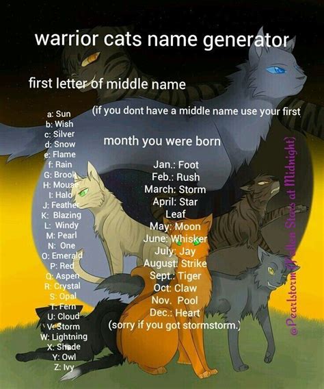 warrior cats apprentice|good warrior cat apprentice names.